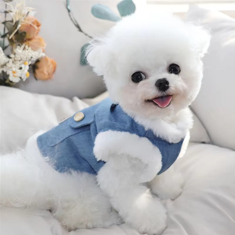 Winter Fleece Pet Dog Clothes Bear Print Dog Down Coat Warm Soft Puppy Vest Jacket Fashion Cat Jacket Coat Cute Pet Dog Costumes