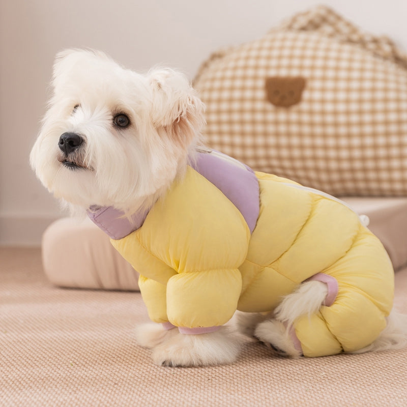 Autumn And Winter Dog High-end Macaron Thickened Zipper Bear Warm Four-legged Cotton-padded Jacket, Cat Cotton-padded Jacket, Pet Clothes