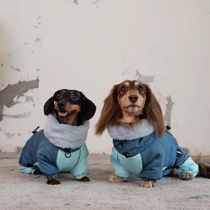 Dachshund Autumn And Winter Thick Warm Four-leg Cotton-padded Jacket